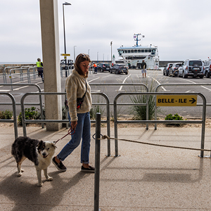 Embarquez vers Groix, Belle-Île, Houat, Hoëdic toute l'année avec votre animal de compagnie