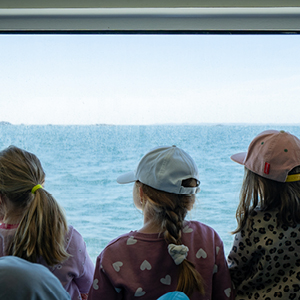 Excursion scolaire îles du Morbihan