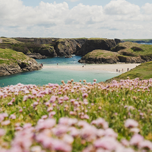 ©Thibault PORIEL